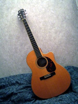 Guitar